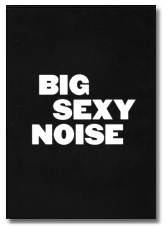 Big Sexy Noise DVD -back