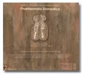 Black Sun Productions Phantasamata -back