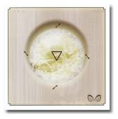 White moth -back